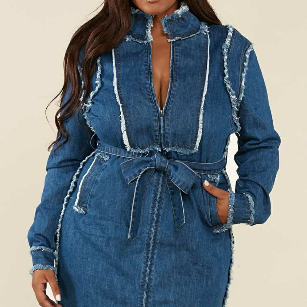 L'Atiste Plus Size Dress Frayed Trim Denim
